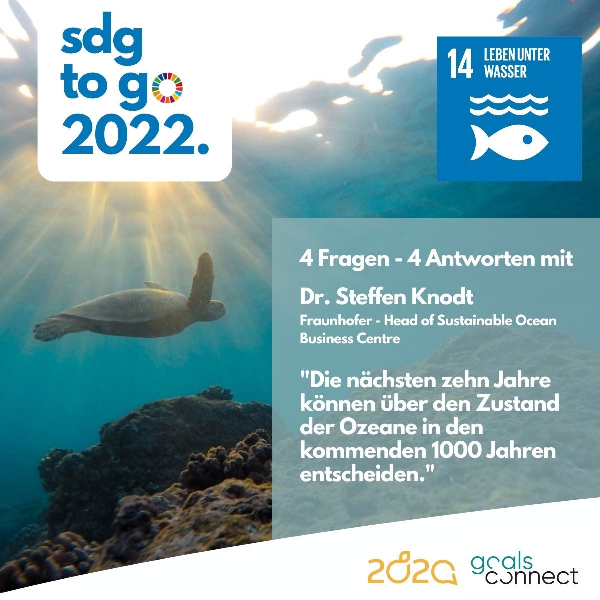 You are currently viewing SDG to go – Heute: SDG 14 „Leben unter Wasser“