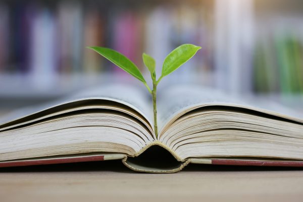 Education concept with tree of knowledge planting on opening old big book