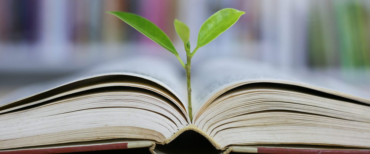 Education concept with tree of knowledge planting on opening old big book